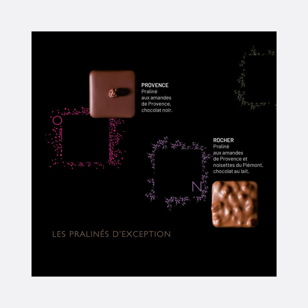 Fabrice Gillotte - LES PRALINÉS D’EXCEPTION 48 PIÈCES - 48 PRALINÉS