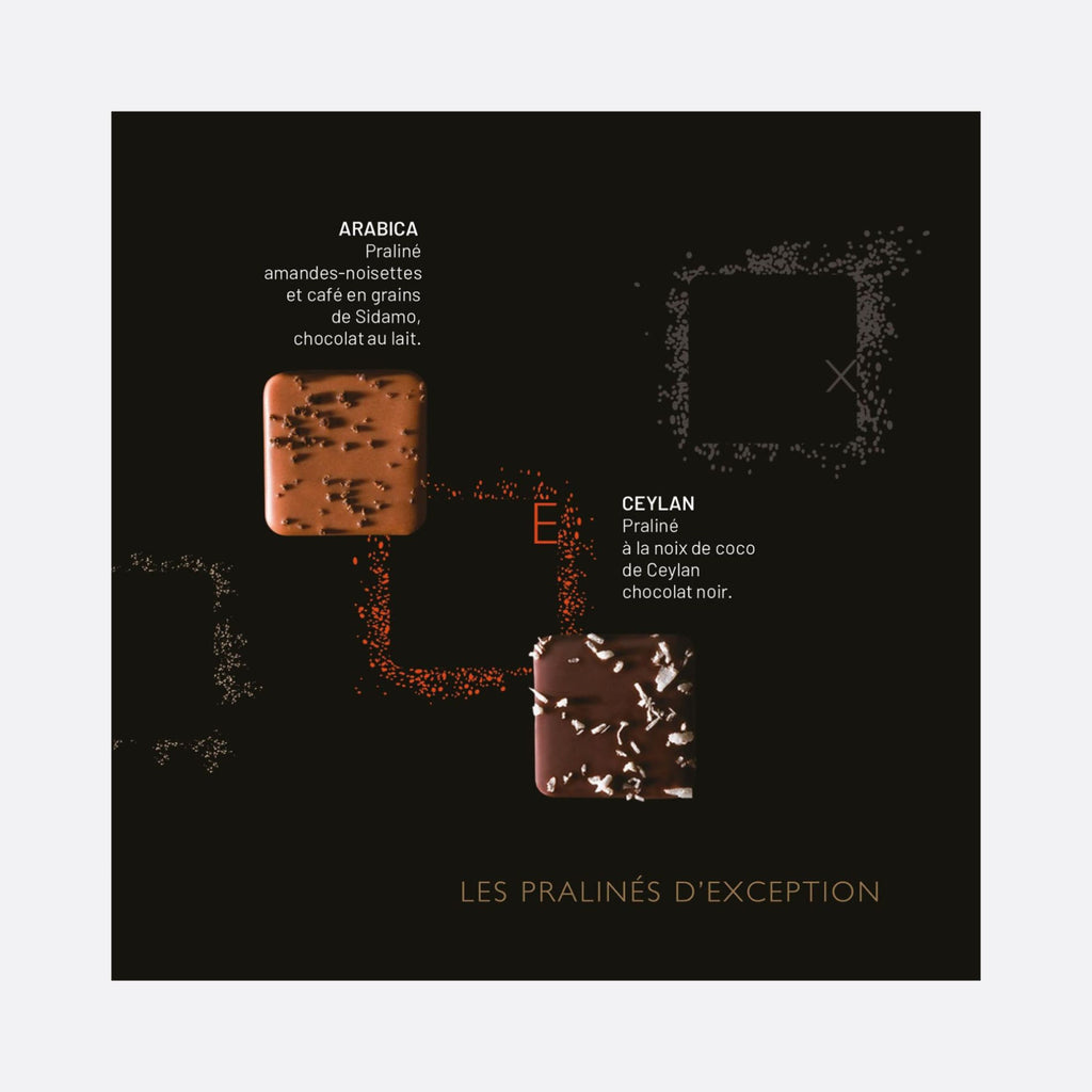 Fabrice Gillotte - LES PRALINÉS D’EXCEPTION 48 PIÈCES - 48 PRALINÉS