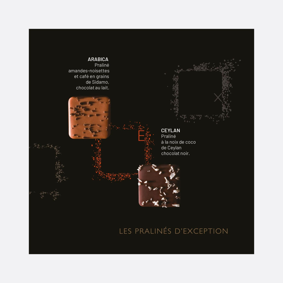 Fabrice Gillotte - LES PRALINÉS D’EXCEPTION 48 PIÈCES - 48 PRALINÉS