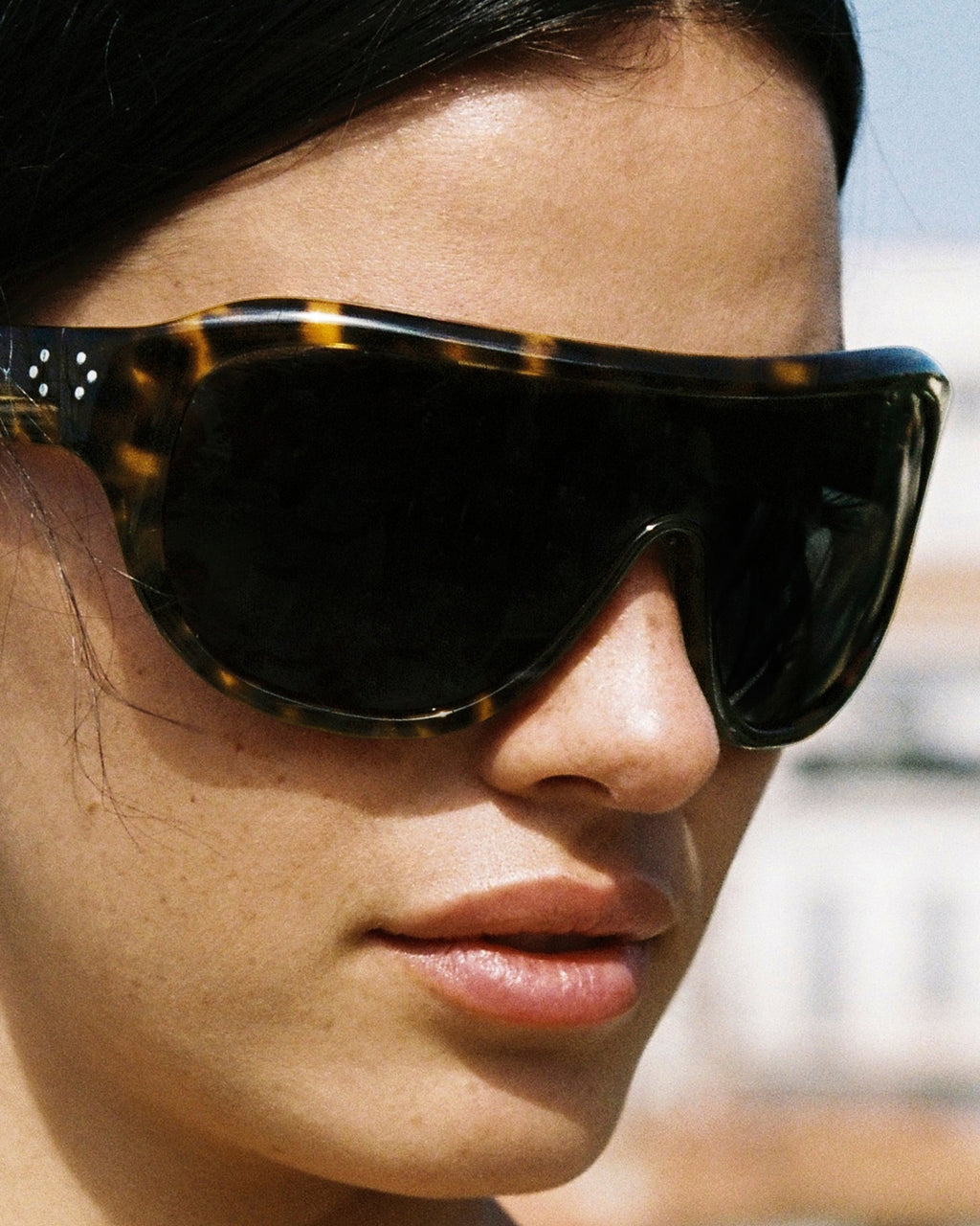 LA LUZ Dark Tortoise