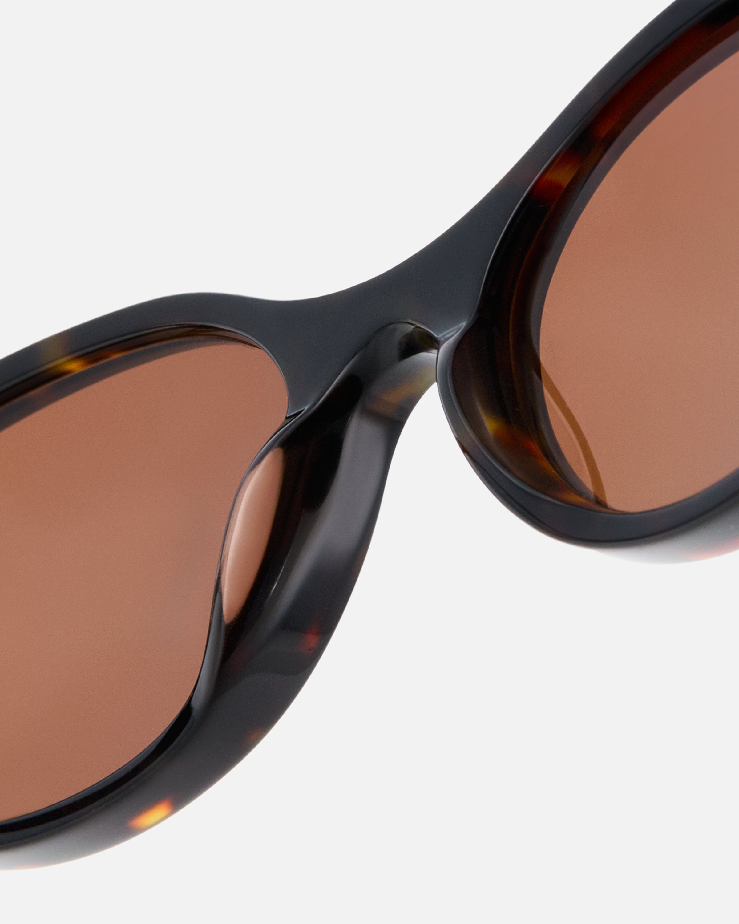 LA MEG Dark Tortoiseshell
