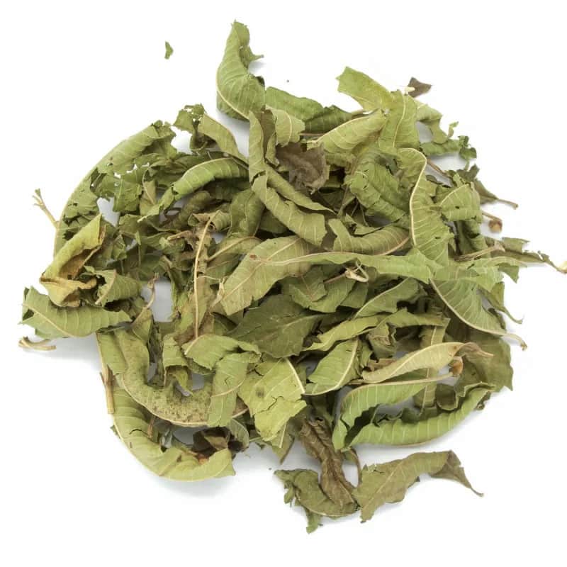 Verveine odorante feuilles – PARISWAVE.COM