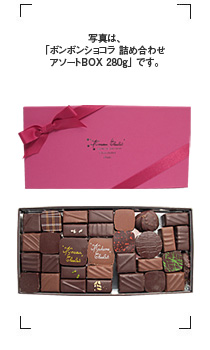 Monsieur Chocolat / BONBON CHOCOLAT ASSORT T2/250G