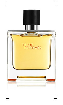 Hermes / TERRE D'HERMES PARFUM VAPORISATEUR