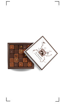 Le Cacaotier / COFFRET 50 CHOCOLATS
