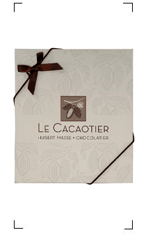 Le Cacaotier / COFFRET 49 CHOCOLATS