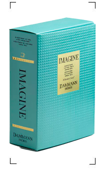 Dammann Freres / COFFRET IMAGINE 20 SACHETS