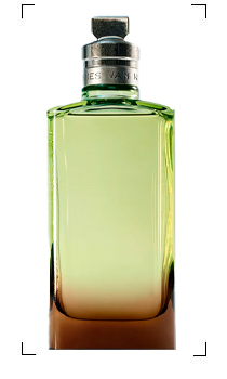 Dries Van Noten / MYSTIC MOSS EDT