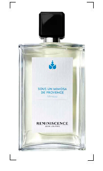 Reminiscence / SOUS UN MIMOSA DE PROVENCE EDT INTENSE