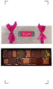 Monsieur Chocolat / 17 BONBON CHOCOLAT ASSORT