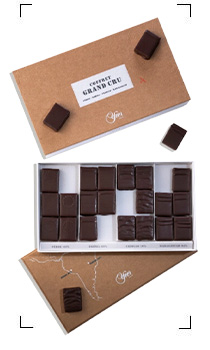 Yver / COFFRET GRANDS CRUS GANACHE