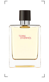 Hermes / TERRE D'HERMES / EDT SPRAY